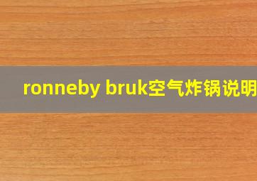 ronneby bruk空气炸锅说明书